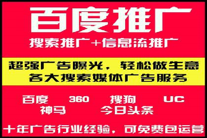 SEM运营中的数据分析和优化案例研究